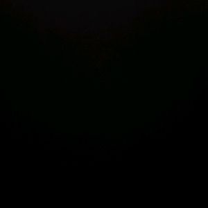 Meet your Posher, Jazzi